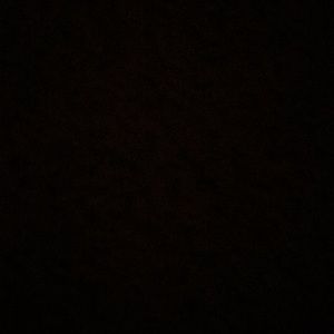 Meet your Posher, Ellie